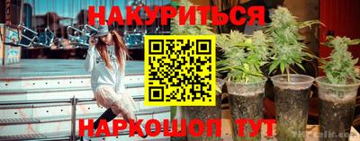 сатива Аргун