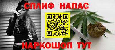 сатива Аргун