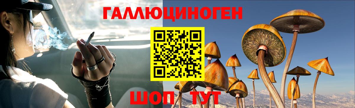 Псилоцибиновые грибы MAGIC MUSHROOMS Берёзовский
